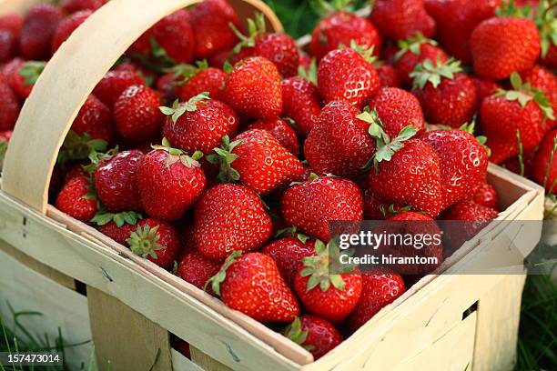 home grown strawberries in wooden basket - strawberry 個照片及圖片檔
