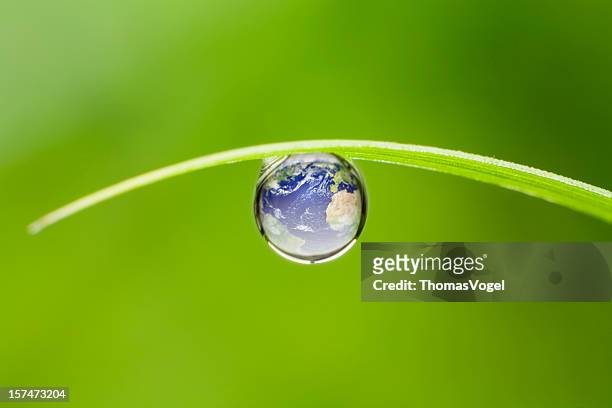 planet earth.  dop nature environment water globe leaf waterdrop - water globe stock pictures, royalty-free photos & images