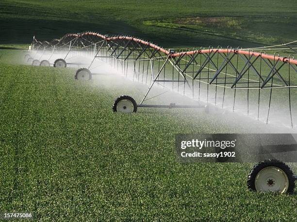 sistema de irrigação do sistema - vanishing spray imagens e fotografias de stock