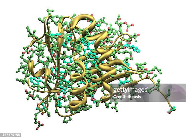 serotonin-acetyltransferase - enzym stock-fotos und bilder