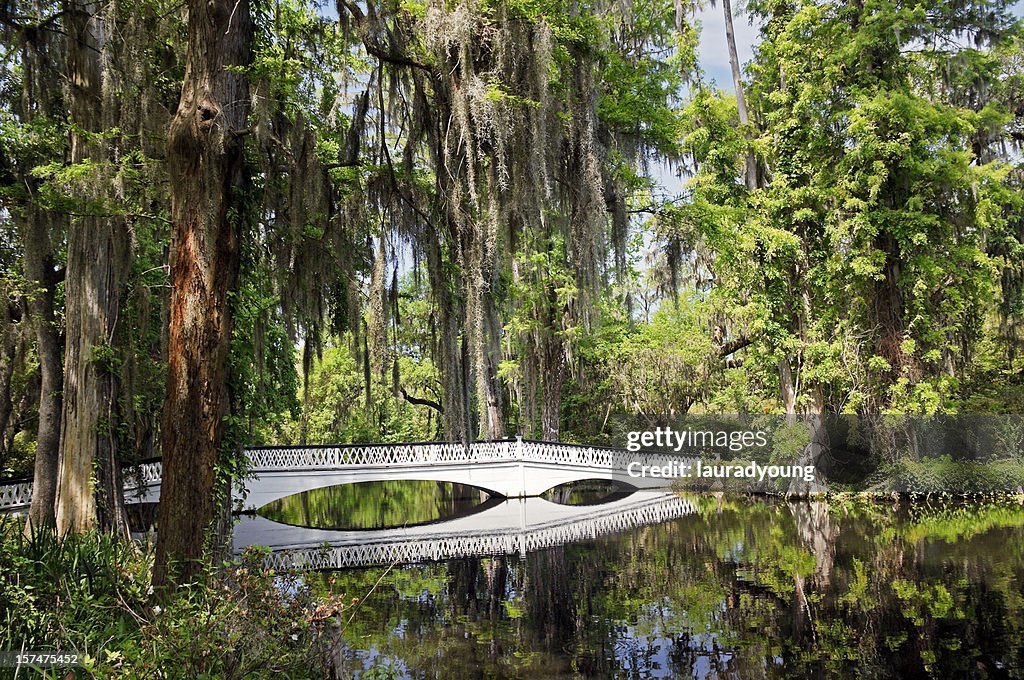 Charleston Magnolia Plantation White Bridge