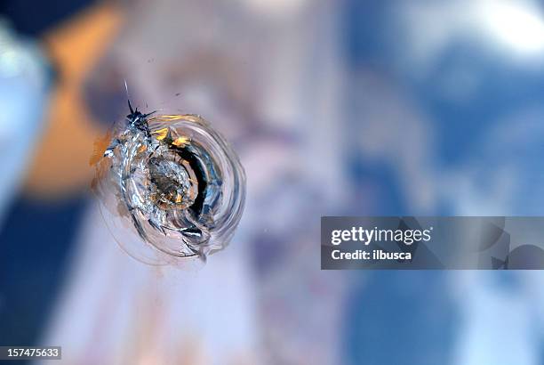 broken bulletproof glass - bulletproof stock pictures, royalty-free photos & images