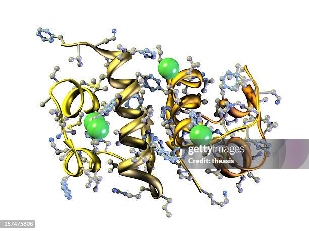 model of human insulin - enzyme structure stock pictures, royalty-free photos & images