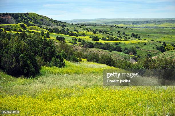 colorido primavera paisagem de badlands de bloom - grandes planícies imagens e fotografias de stock