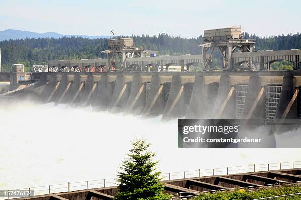 bonneville dam links washington and oregon - oregon v washington stock pictures, royalty-free photos & images