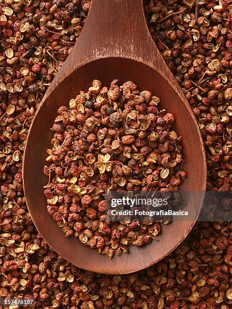 szechuan peppercorns - peppar bildbanksfoton och bilder