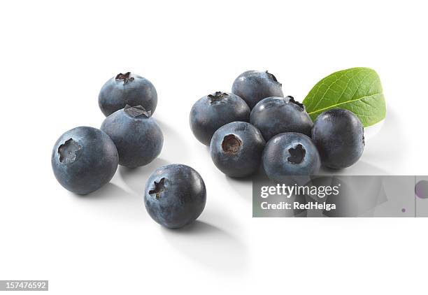 blueberries with leaf - blåbär bildbanksfoton och bilder