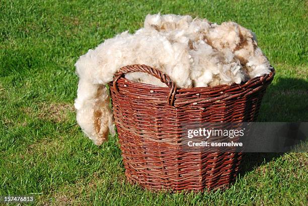 raw sheep wool - wol stockfoto's en -beelden