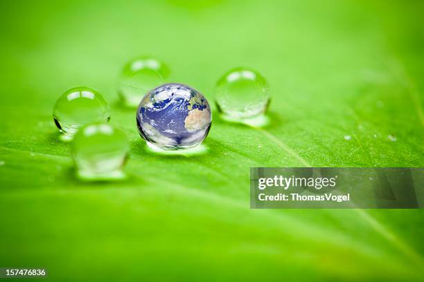 planet erde waterdrop blatt. water green globe umgebung drop - water globe stock-fotos und bilder