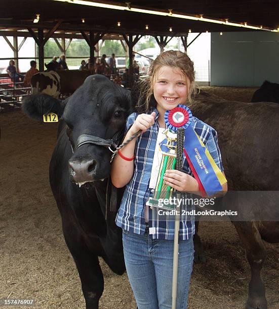 champion - landwirtschaftsmesse stock-fotos und bilder