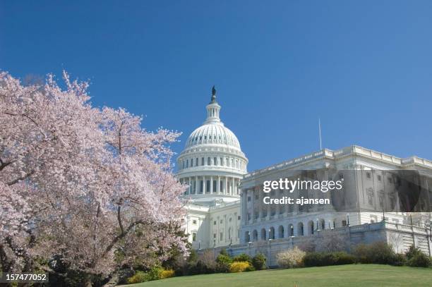 kirschblüten nos capitol hill - biblioteca do congresso imagens e fotografias de stock