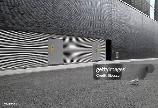 modern architecture wall with seagull - minimal architecture stock pictures, royalty-free photos & images