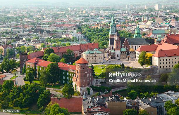 wawel castle in krakow, poland - wawel castle stock pictures, royalty-free photos & images