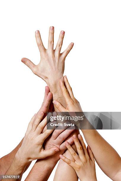 leadership - sea of hands stock pictures, royalty-free photos & images