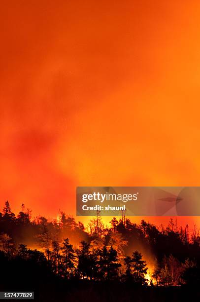 incendio forestal - incendio forestal fotografías e imágenes de stock