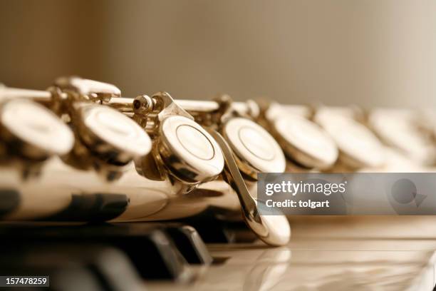 querflöte - flöte stock-fotos und bilder