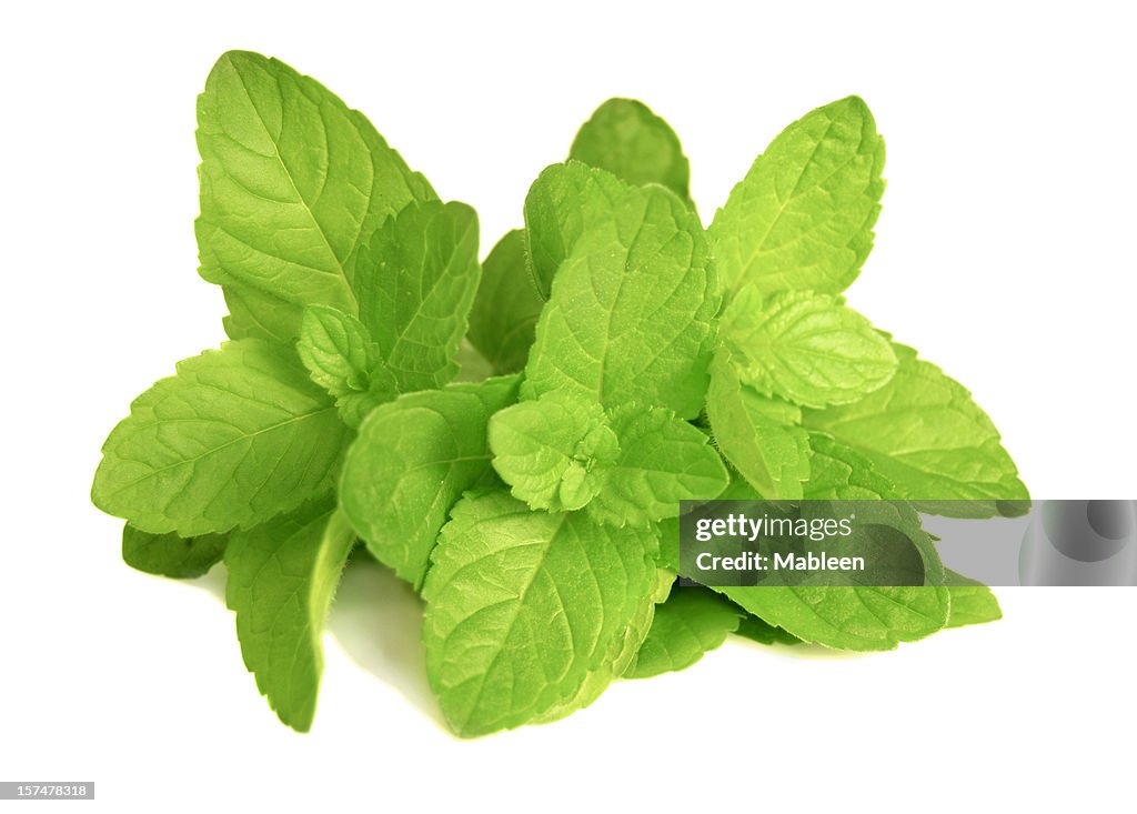 Mint leaves (Mentha)