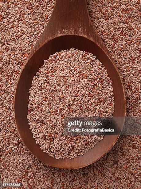 psyllium - psyllium stock pictures, royalty-free photos & images
