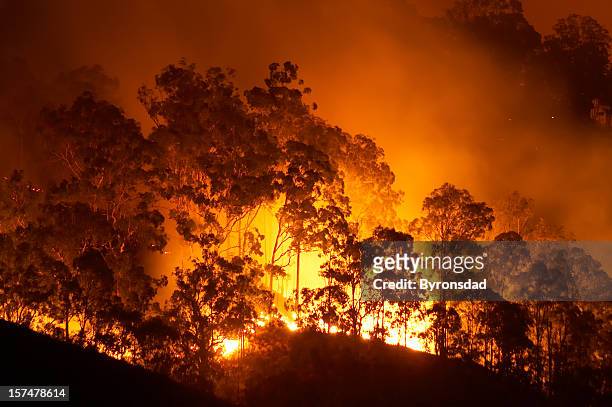 incendio boschivo - arson foto e immagini stock