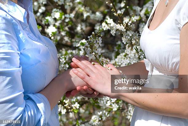 mujer confianza en la primavera de que las manos - best bosom fotografías e imágenes de stock