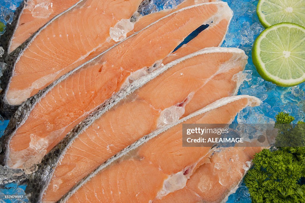 Salmon