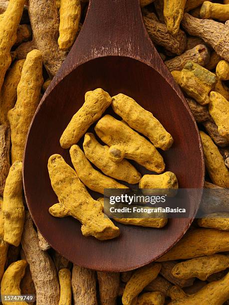 turmeric root - root stock pictures, royalty-free photos & images
