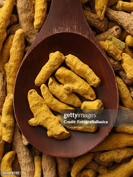 turmeric root - dried food stock pictures, royalty-free photos & images