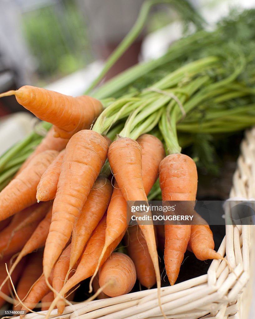 Organic Carrots