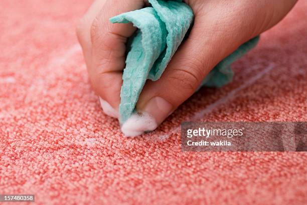 cleaning red carpet - remove stain - rubbing stock pictures, royalty-free photos & images