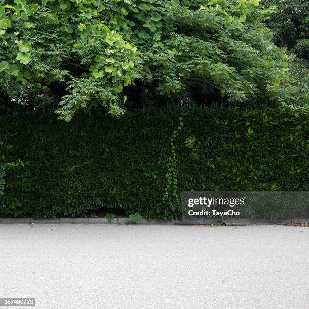 verdent green driveway - curb stock pictures, royalty-free photos & images