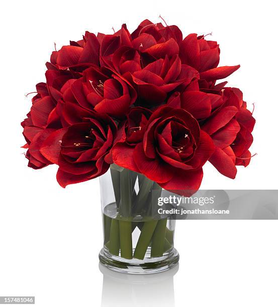 Red Amaryllis Bouquet Red Amaryllis Bouquet