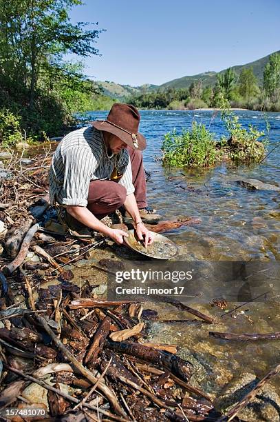 gold miner american river vertical - gold rush stock pictures, royalty-free photos & images
