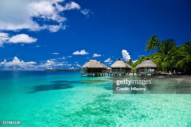 férias dos sonhos de resort de luxo - polynesia - fotografias e filmes do acervo