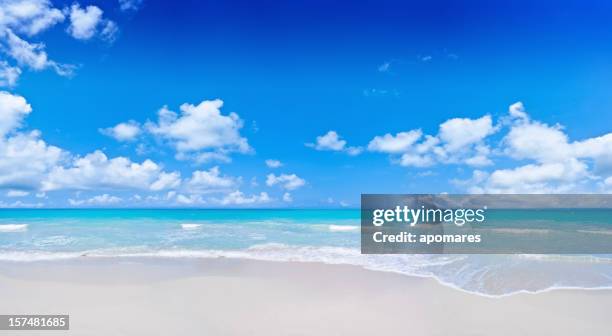 tropical beach and cloudy deep blue sky - panoramic sky stock pictures, royalty-free photos & images