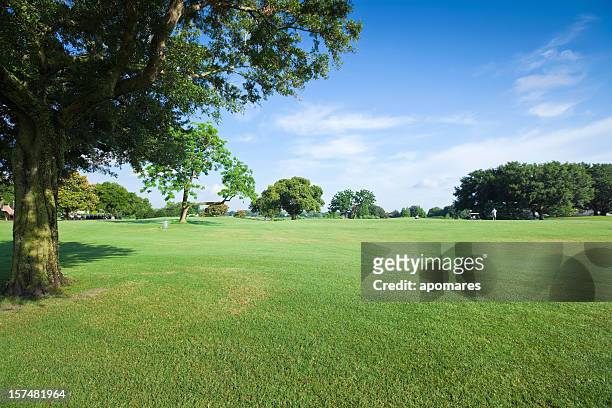 golf fields - yard grounds stock pictures, royalty-free photos & images