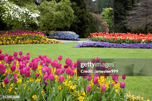 Le jardin colorés Le jardin colorés