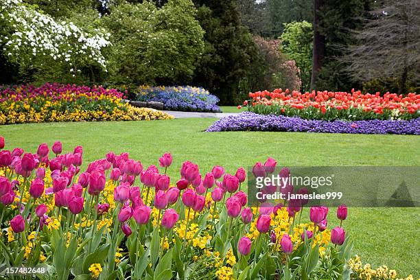 colorful garden landscape and grassy lawn - yard grounds stock pictures, royalty-free photos & images