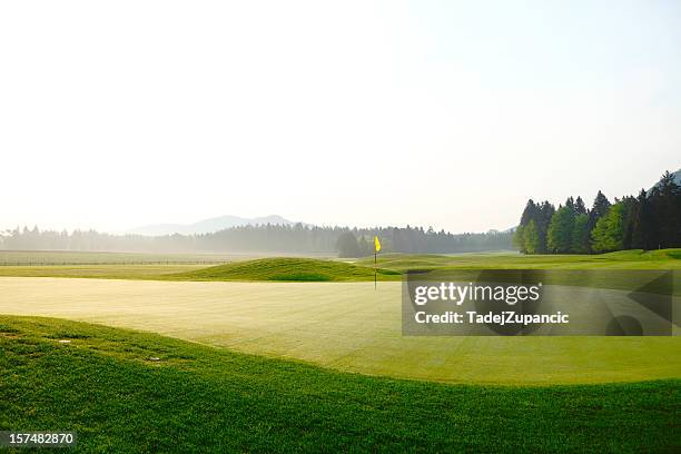 golf green - golfbaan stockfoto's en -beelden