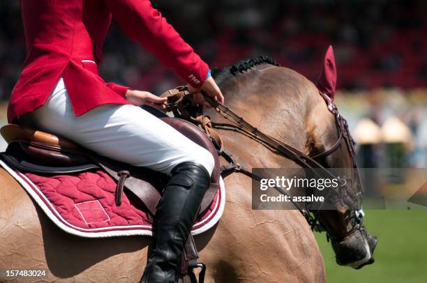 pferd und reiter auf reitsport-veranstaltung - springreiten stock-fotos und bilder