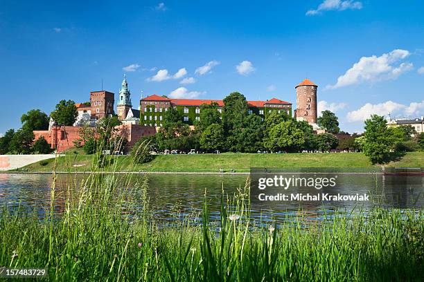 castillo de cracovia en cracovia - krakow fotografías e imágenes de stock