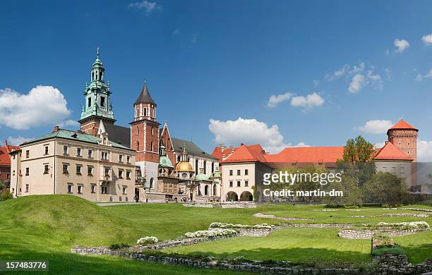 krakow - wawel castle stock pictures, royalty-free photos & images