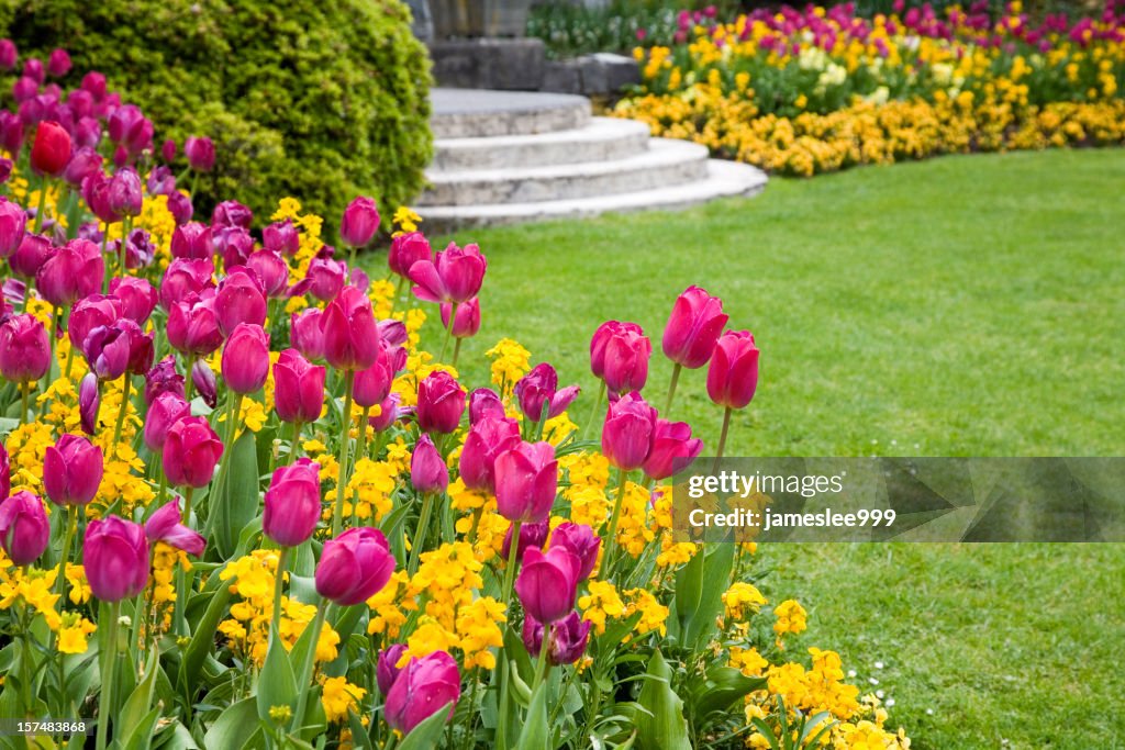 Pink and yellow flowers around a garden lawn