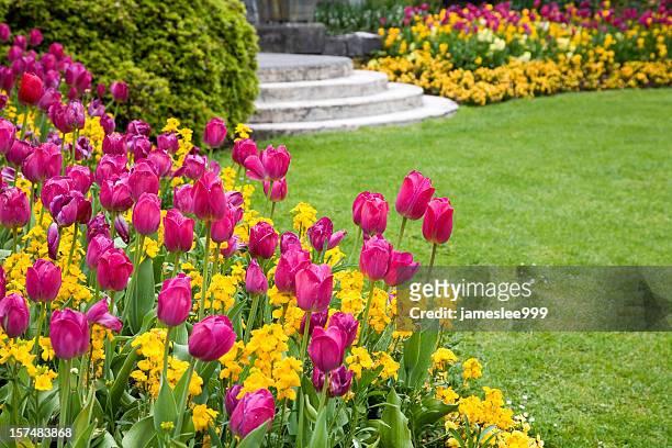pink and yellow flowers around a garden lawn - garden spring flower stock pictures, royalty-free photos & images