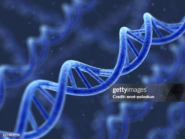 dna - dna strand stock pictures, royalty-free photos & images