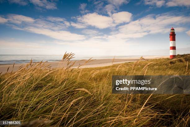 leuchtturm in den dünen - amrum stock-fotos und bilder