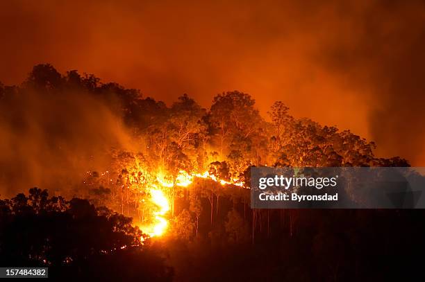 forest fire at night with bright flames - australia fire stock pictures, royalty-free photos & images