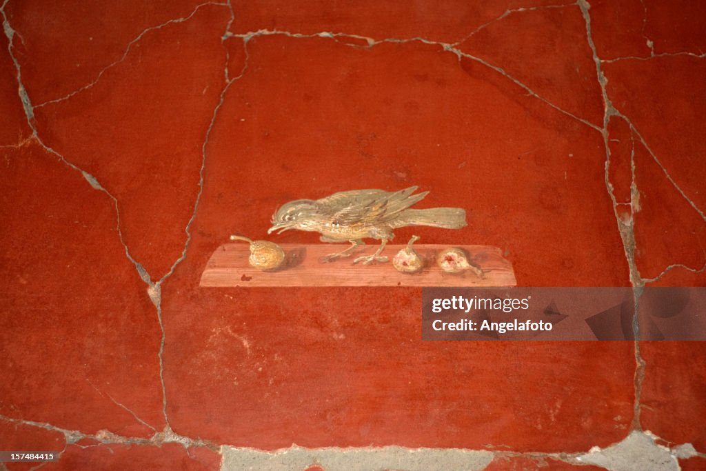 Roman fresh in Oplontis villa