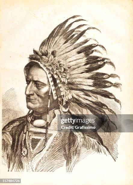 engraving of native american tribal chief sitting bull 1881 - chief sitting bull stock illustrations