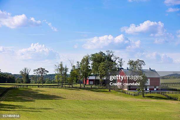 rural farm house in the middle of a field - boerenwoning stockfoto's en -beelden