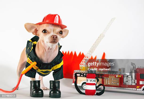 fireman' - abbigliamento antinfortunistico foto e immagini stock